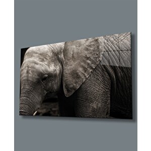 Fil Cam Tablo 36x23 cm