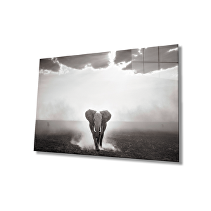 Fil Cam Tablo 36x23 cm