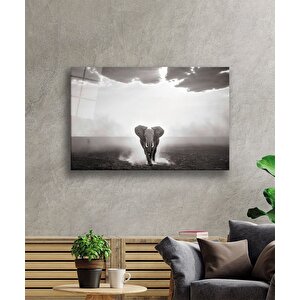 Fil Cam Tablo 36x23 cm