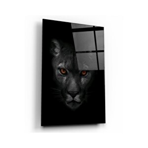 Jaguar Cam Tablo 50x70 cm