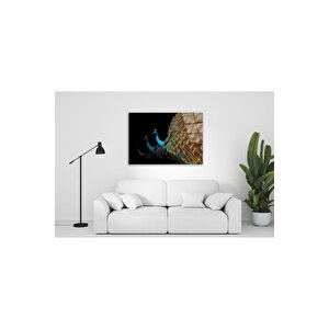 Tavuskuşu Cam Tablo 50x70 cm