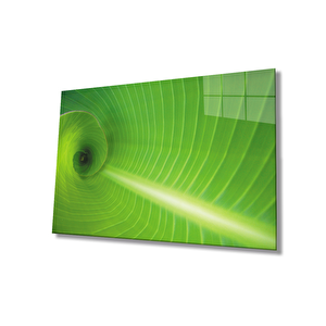 Yeşil Yaprak Green Leaf 50x70 cm