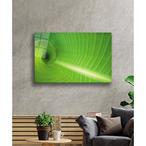 Yeşil Yaprak Green Leaf 50x70 cm