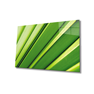 Yeşil Yaprak Green Leaf 36x23 cm