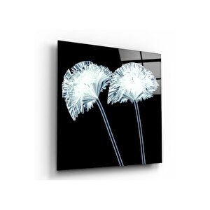 Desen Cam Tablo 30x30 cm