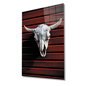 Boynuz Cam Tablo 50x70 cm