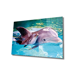 Yunus Balığı Cam Tablo Dolphin 50x70 cm