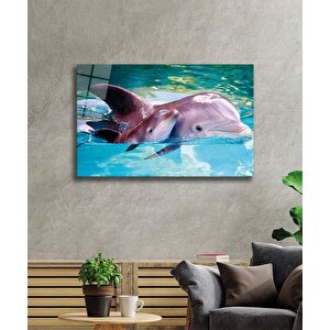 Yunus Balığı Cam Tablo Dolphin 50x70 cm