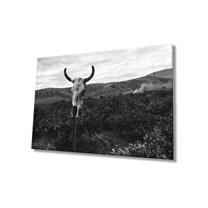 Boynuz Cam Tablo 36x23 cm