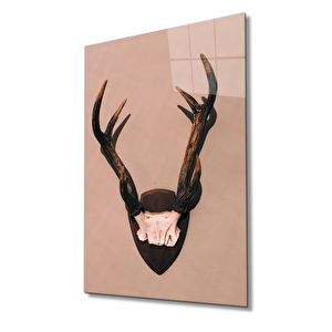 Boynuz Cam Tablo 50x70 cm