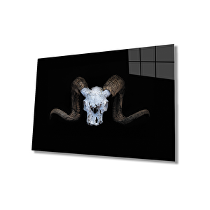 Boynuz Cam Tablo 50x70 cm