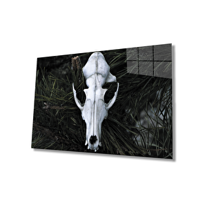 Boynuz Cam Tablo 36x23 cm
