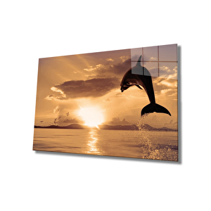 Yunus Balığı Cam Tablo Dolphin 50x70 cm