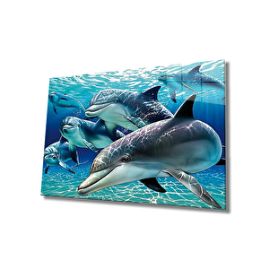 Yunus Balığı Cam Tablo Dolphin 50x70 cm