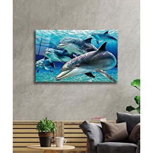Yunus Balığı Cam Tablo Dolphin 50x70 cm