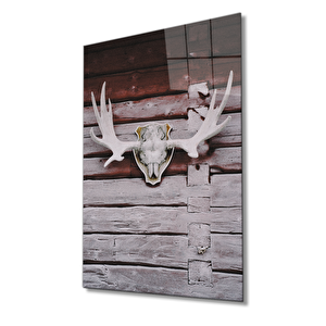 Boynuz Cam Tablo 50x70 cm