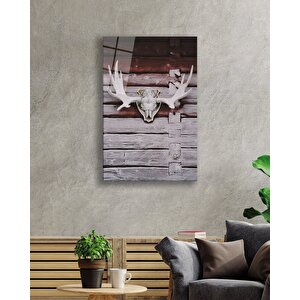 Boynuz Cam Tablo 50x70 cm