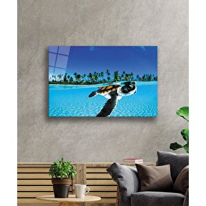 Su Kaplumbağası Cam Tablo 90x60 cm