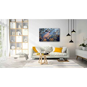 Sualtı Cam Tablo 50x70 cm