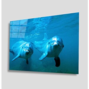 Sualtı Cam Tablo 50x70 cm