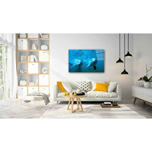 Sualtı Cam Tablo 50x70 cm