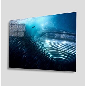 Sualtı Cam Tablo 110x70 cm