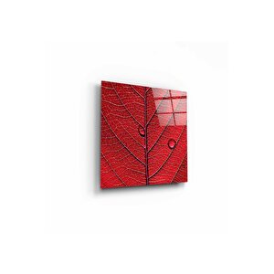 Su Damlacıkları Cam Tablo 30x30 cm