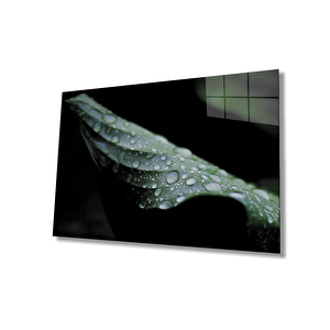 Su Damlası Yaprak Yeşil Cam Tablo 50x70 cm