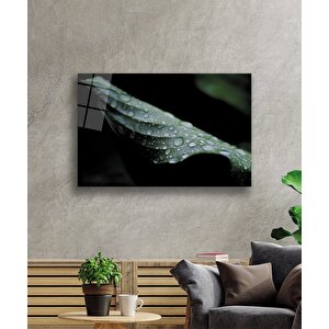 Su Damlası Yaprak Yeşil Cam Tablo 50x70 cm