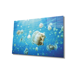Sualtı Cam Tablo 50x70 cm