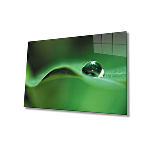 Su Damlası Yeşil Yaprak Cam Tablo 50x70 cm