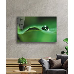 Su Damlası Yeşil Yaprak Cam Tablo 90x60 cm