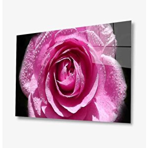 Sualtı Cam Tablo 50x70 cm