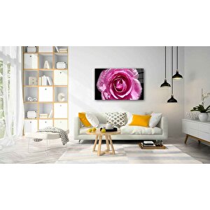 Sualtı Cam Tablo 50x70 cm