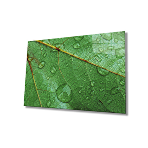 Su Damlası Yaprak Yeşil Cam Tablo 36x23 cm