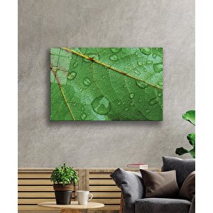 Su Damlası Yaprak Yeşil Cam Tablo 36x23 cm