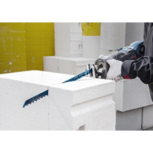 Bosch Expert S 1141 Hm Gözenekli Beton 225 Mm 10'lu Panter Testere 2608900409