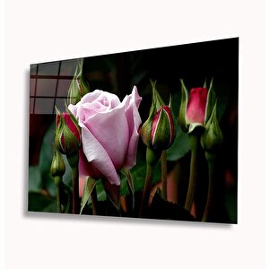Goncagüller Cam Tablo 36x23 cm