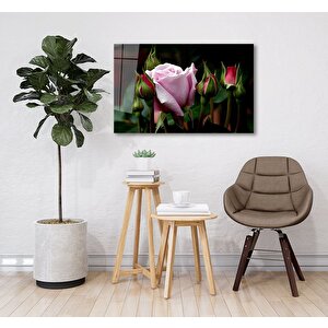Goncagüller Cam Tablo 50x70 cm