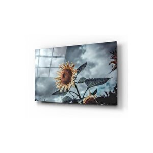 Ayçiçeği Cam Tablo 60x90 cm