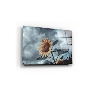 Ayçiçeği Cam Tablo 60x90 cm