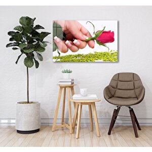 Gonca Cam Tablo 50x70 cm