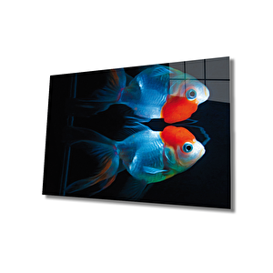 Mavi Kırmızı Cam Tablo Blue Red Fish 50x70 cm