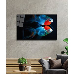 Mavi Kırmızı Cam Tablo Blue Red Fish 50x70 cm