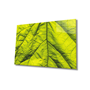 Yeşil Yaprak Cam Tablo Green Leaf 50x70 cm