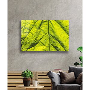 Yeşil Yaprak Cam Tablo Green Leaf 50x70 cm
