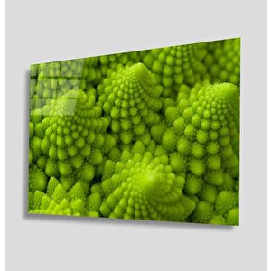Yeşil Bitki Green Plant 36x23 cm