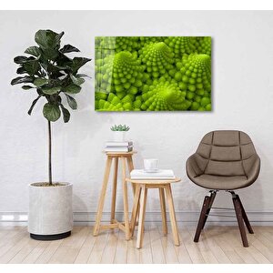 Yeşil Bitki Green Plant 36x23 cm