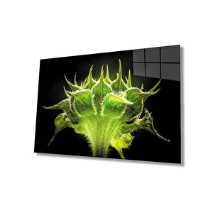 Yeşil Bitki Cam Tablo 50x70 cm