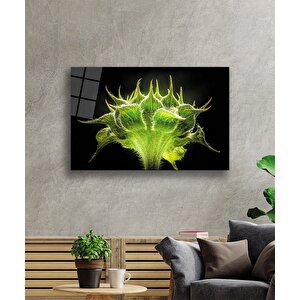 Yeşil Bitki Cam Tablo 90x60 cm
